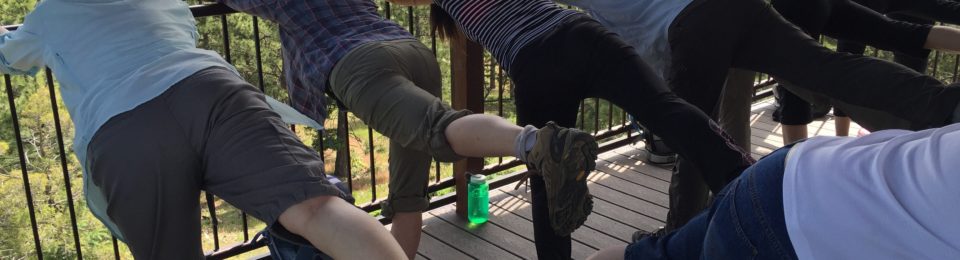 5th Annual Yoga and Hiking