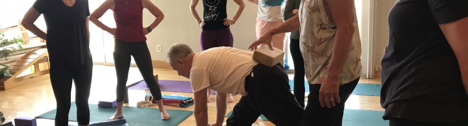 Essential Yoga Teacher Training